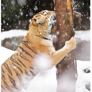 Meet your Posher, Jamie